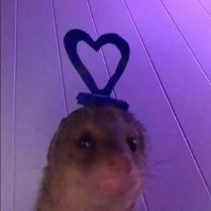 Meet your Posher, Kenzie